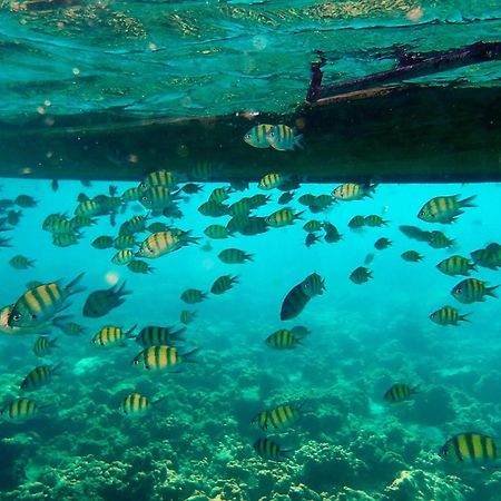 Phuket Meet Holiday Hotel 普吉岛相遇花园度假酒店 Rawai Luaran gambar